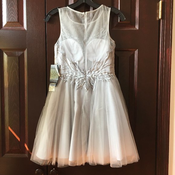 NWT, Basic Black Label silver dress, 0 - Picture 2 of 5